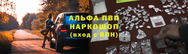 ПСИЛОЦИБИНОВЫЕ ГРИБЫ Алексеевка
