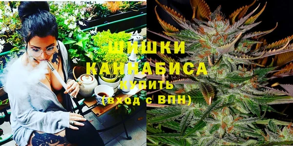 ПСИЛОЦИБИНОВЫЕ ГРИБЫ Алексеевка