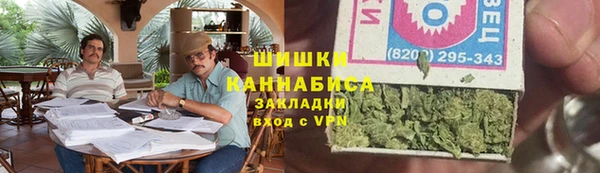 ПСИЛОЦИБИНОВЫЕ ГРИБЫ Алексеевка